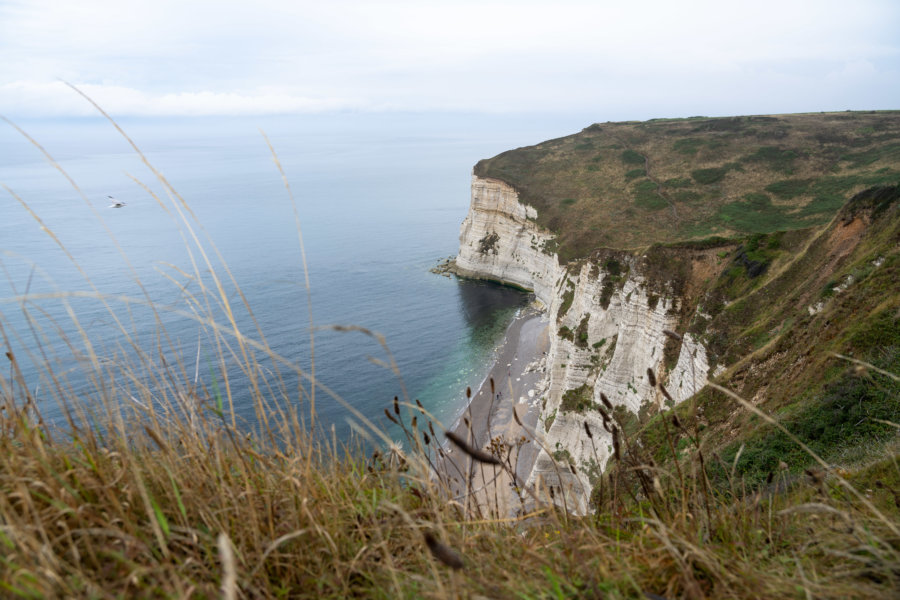 Falaises d'Etretat à la plage du Tilleul