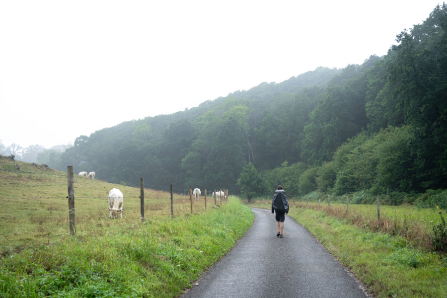 Randonnée sur le GR21 en Normandie sous la pluie