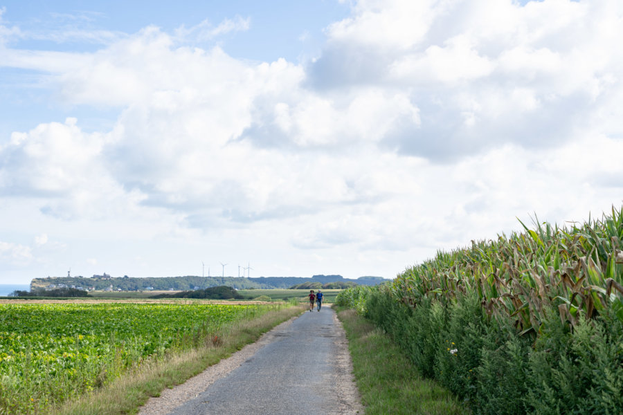 Randonnée entre Yport et Fécamp