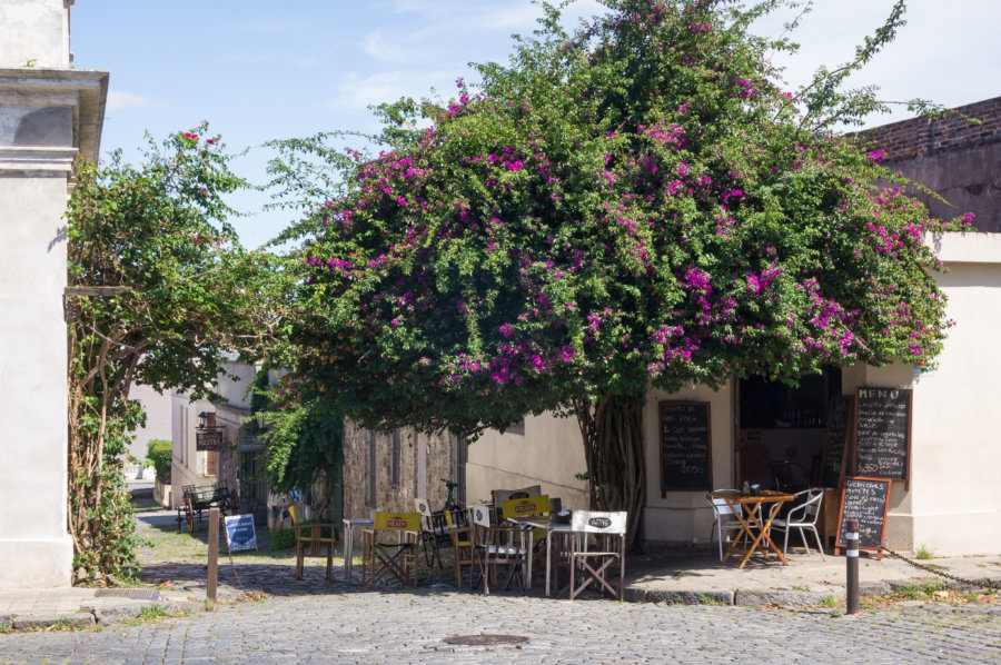 Terrasse dans une rue de Colonia del Sacramento en Uruguay