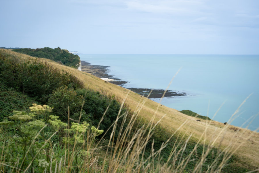 Randonnée sur les falaises à Saint-Pierre-en-Port