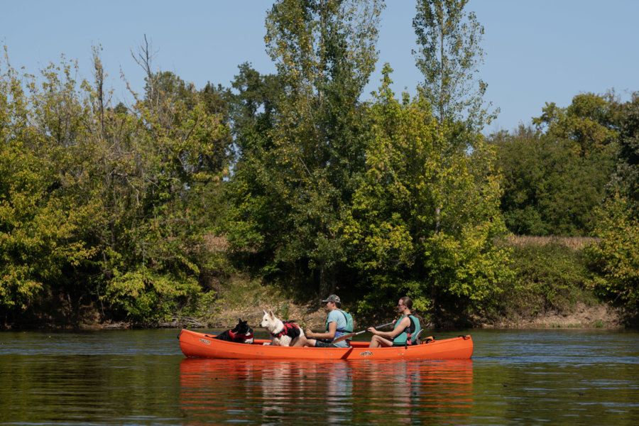 Canoë avec chiens sur la Dordogne