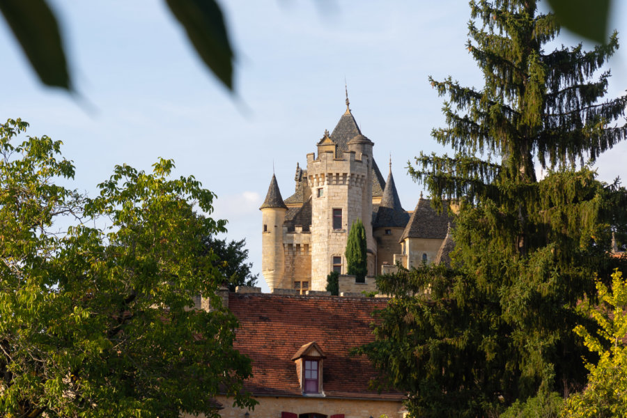 Château de Montfort à Vitrac en Dordogne