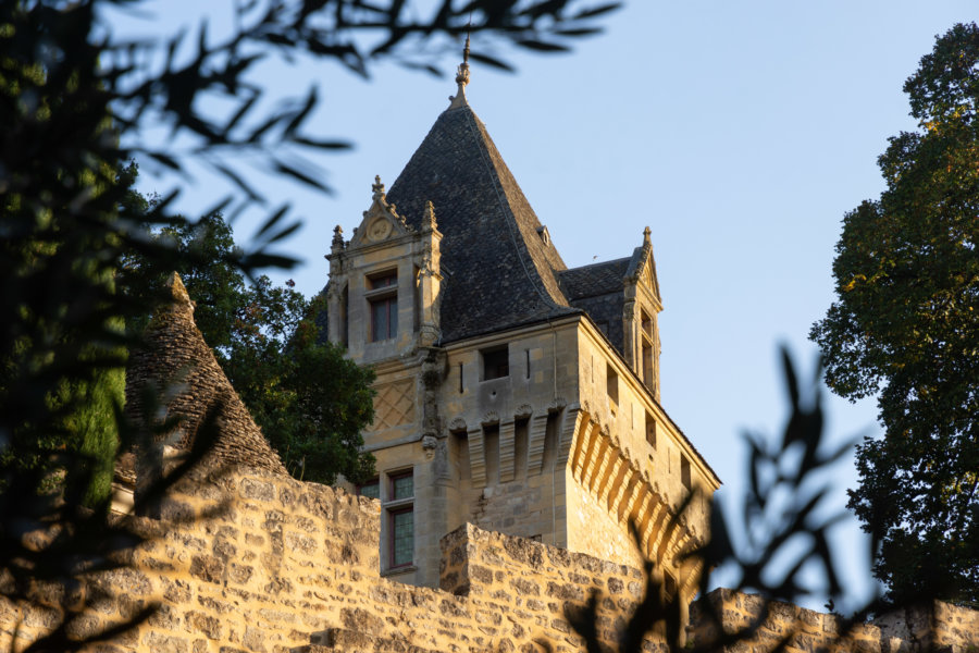 Château de Montfort à Vitrac dans le Périgord noir