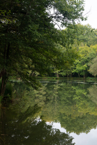 Arbres et lac près du Bugue et des Eyzies