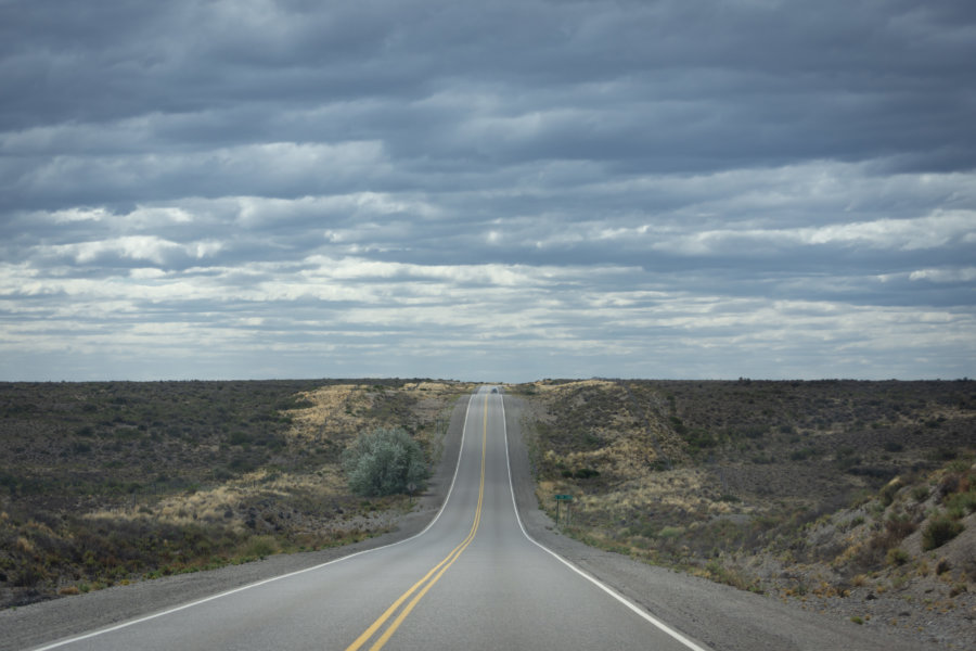 Route dans la pampa entre Puerto Madryn et Punta Tombo