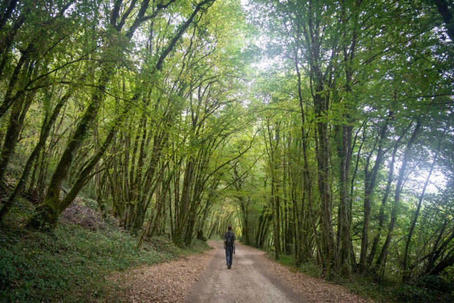 Randonnée dans la vallée de la Vézère, Les Eyzies