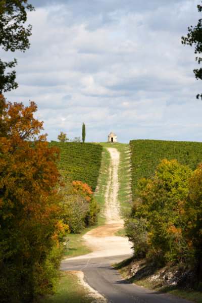 Vignes de Cahors à l'automne