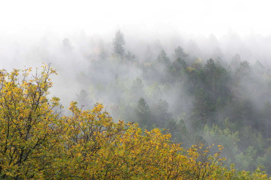 Brume sur le Lot à l'automne