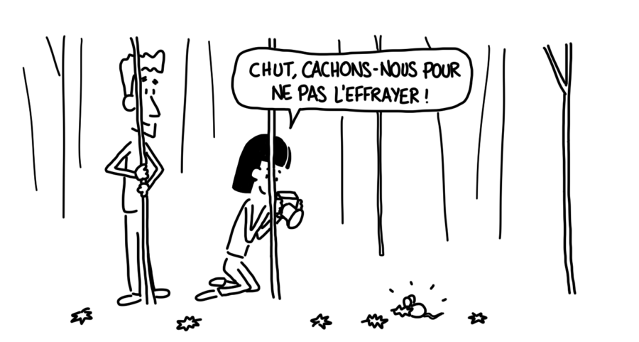 Dessin : recontre avec un mulot dans la forêt