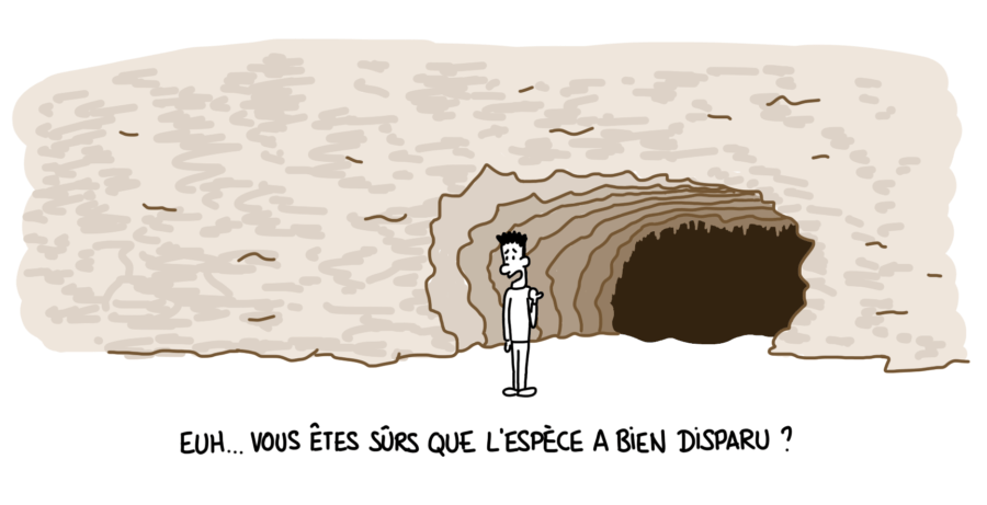 Dessin : la cave du Mylodon, Puerto Natales, Chili