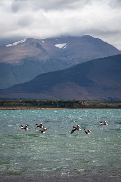 Paysage de lac et montagne à Puerto Natales