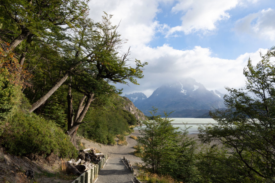 Randonnée du lago Grey à Torres del Paine