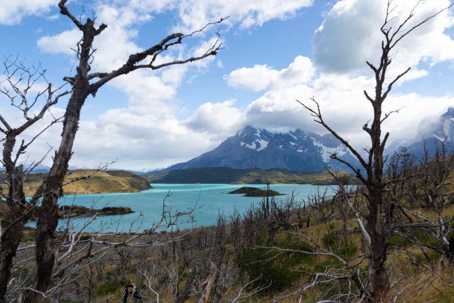 Randonnée vers le mirador du Condor près du Lago Pehoé