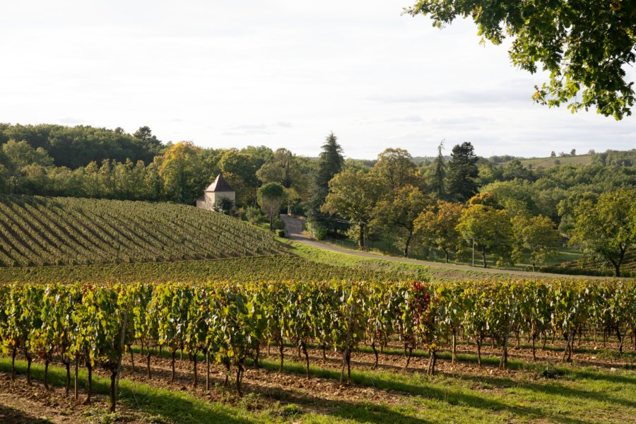 Vignoble de Cahors vers Luzech et Albas