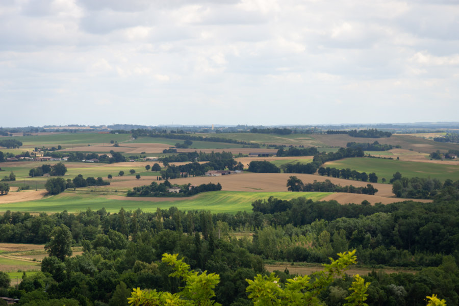 Campagne du Gers à Marsolan