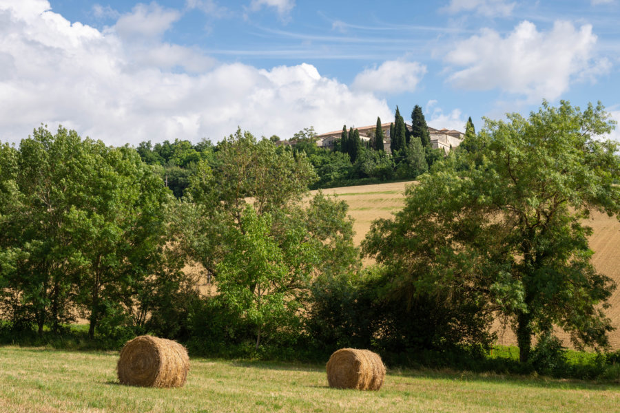 Randonnée à Lectoure, paysage du Gers