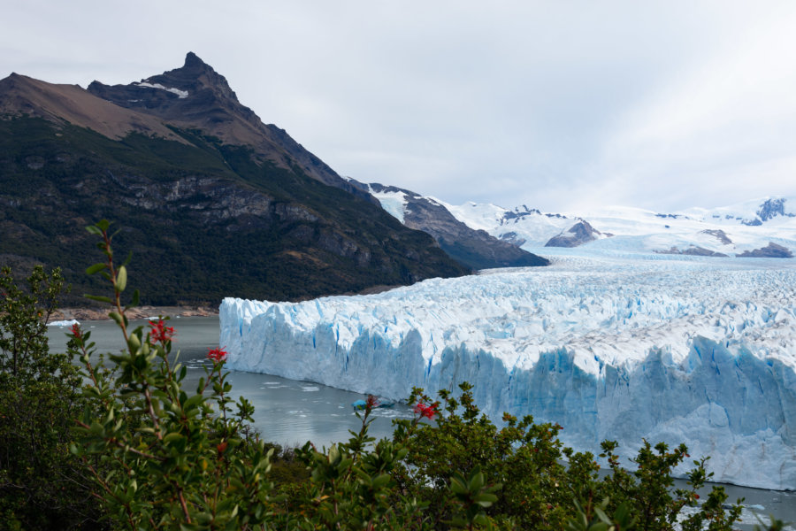 Paysage de Patagonie : le Perito Moreno en Argentine