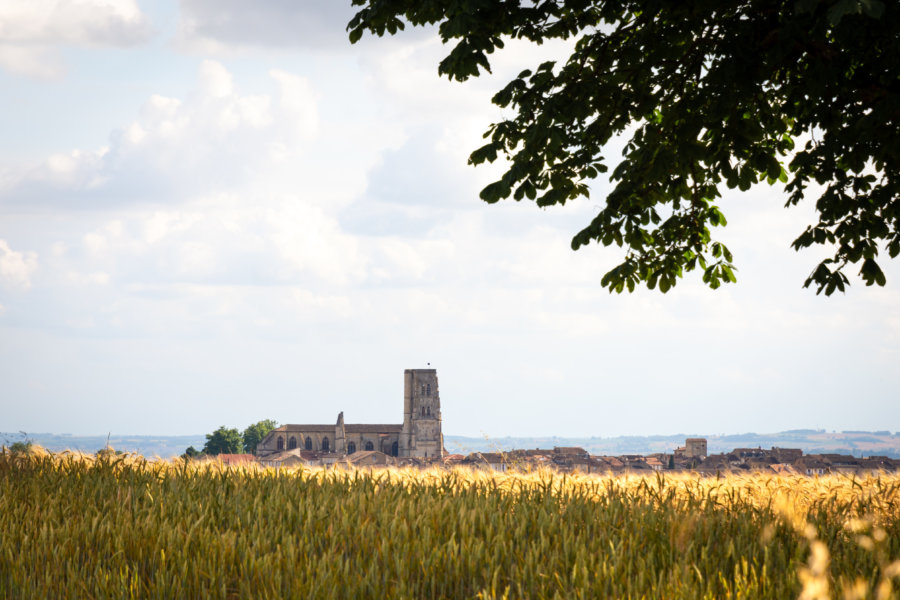 Randonnée dans les champs près de Lectoure