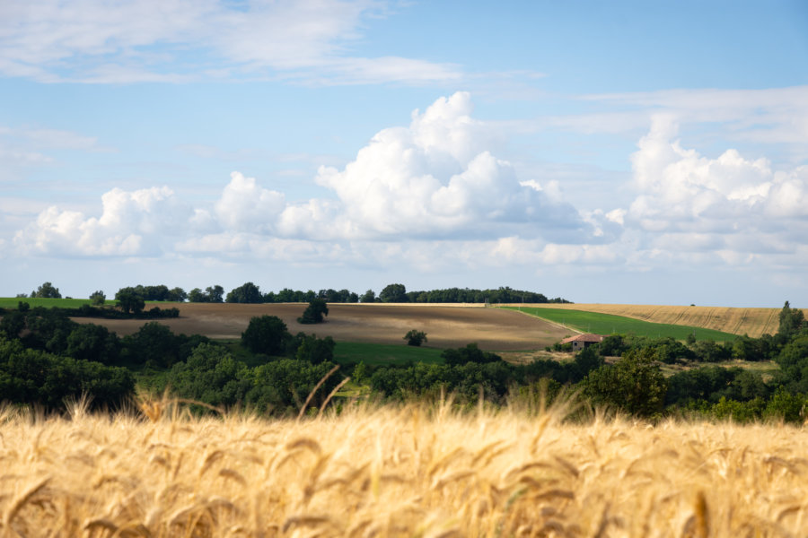 Randonnée dans le Gers près de Lectoure