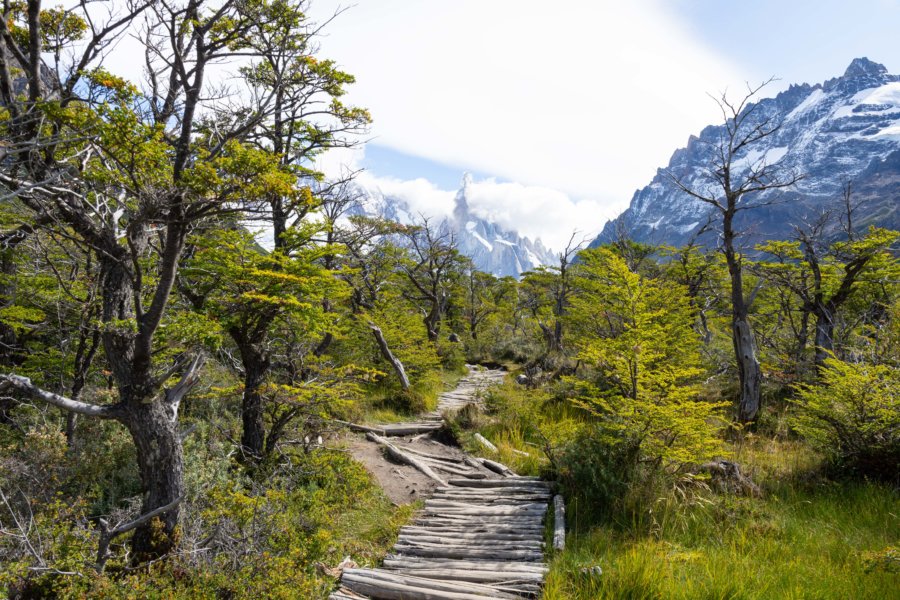 Randonnée d'El Chaltén à la Laguna Torre