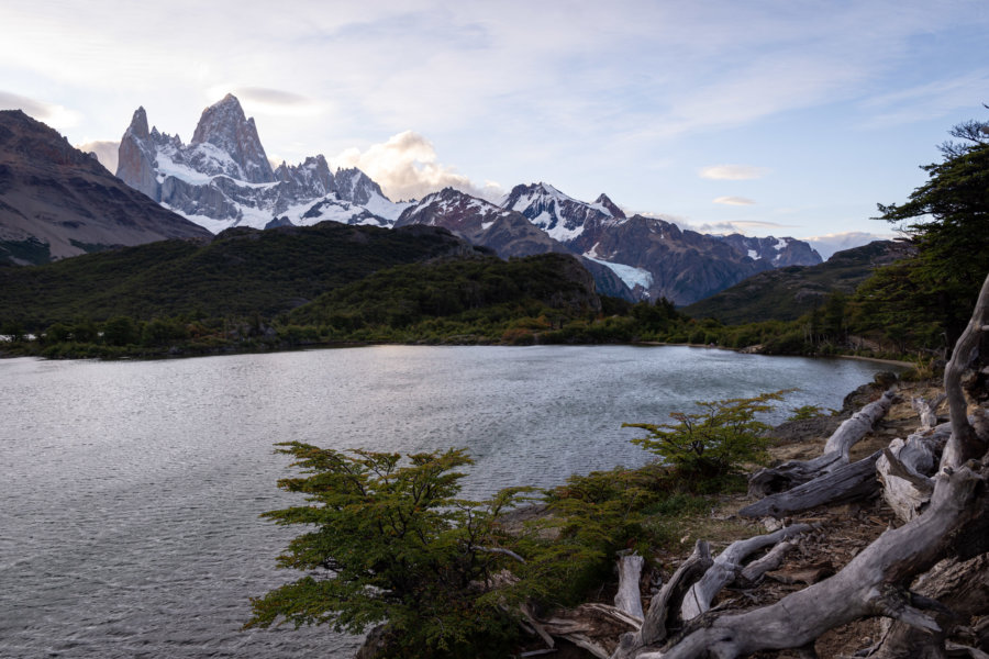 Laguna Capri et Fitz Roy près d'El Chaltén