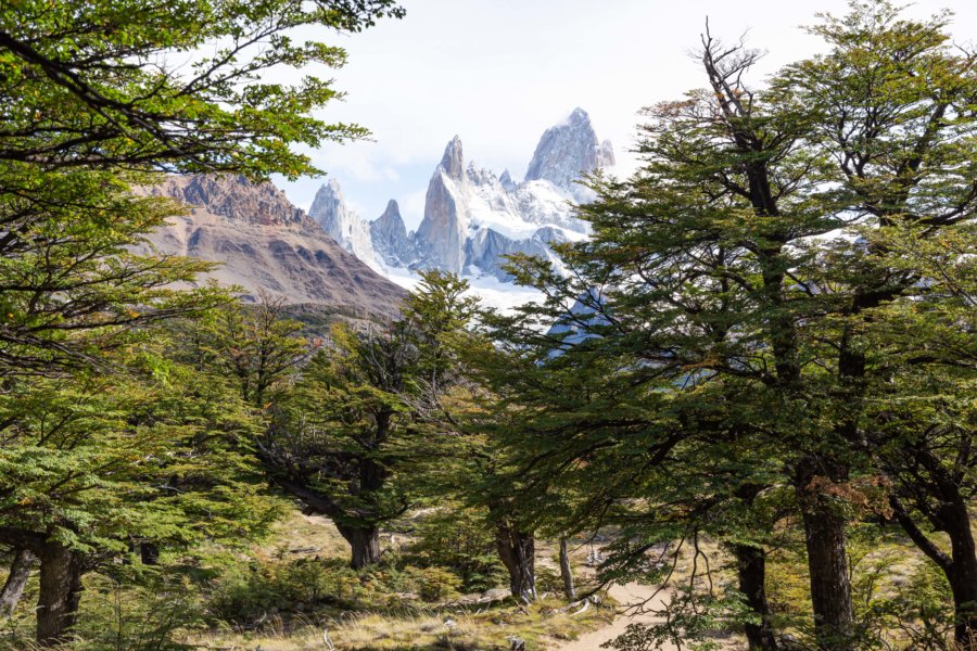 Randonnée vers le Fitz Roy depuis El Chaltén