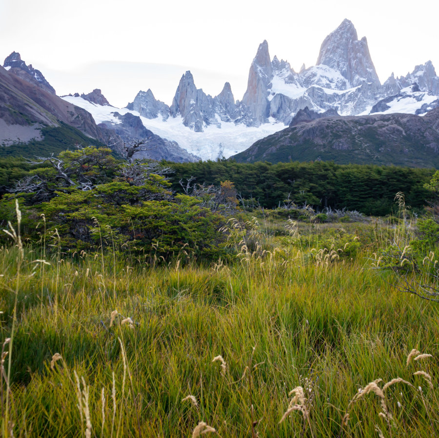 Randonnée vers la Laguna de los tres, paysage de Patagonie