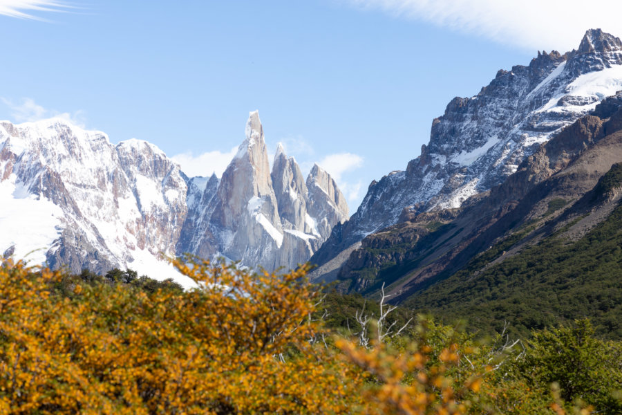 Randonnée Laguna Torre depuis El Chaltén, Patagonie