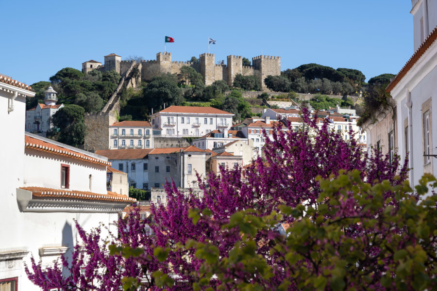 Château São Jorge à Lisbonne