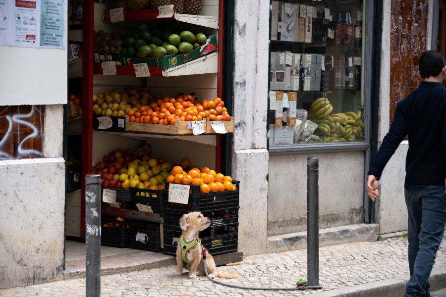 Boutique à Bairro Alto, Lisbonne