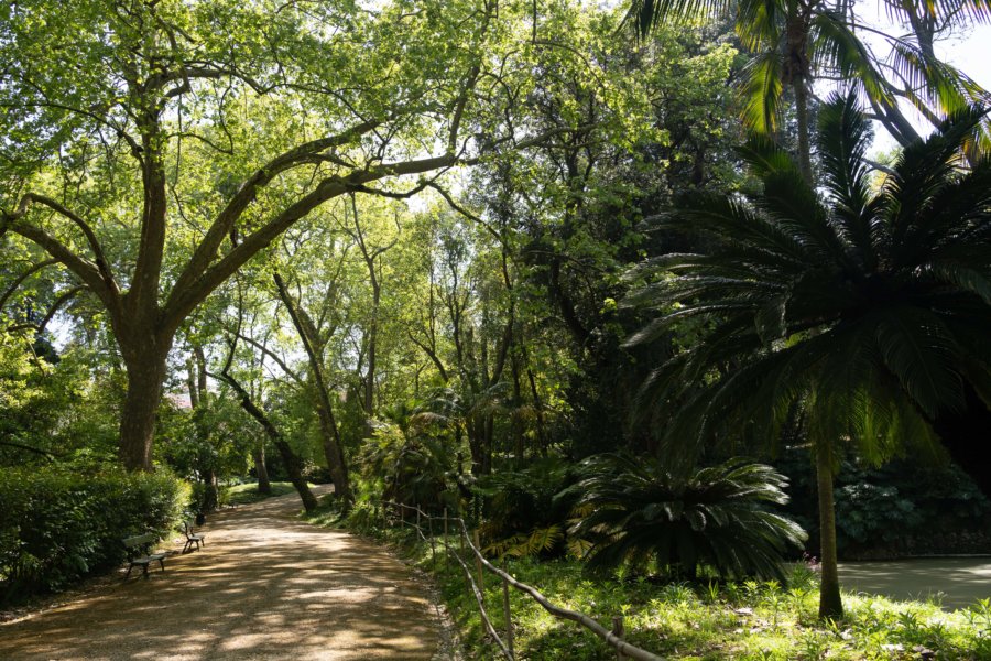 Jardin botanique de Liisbonne