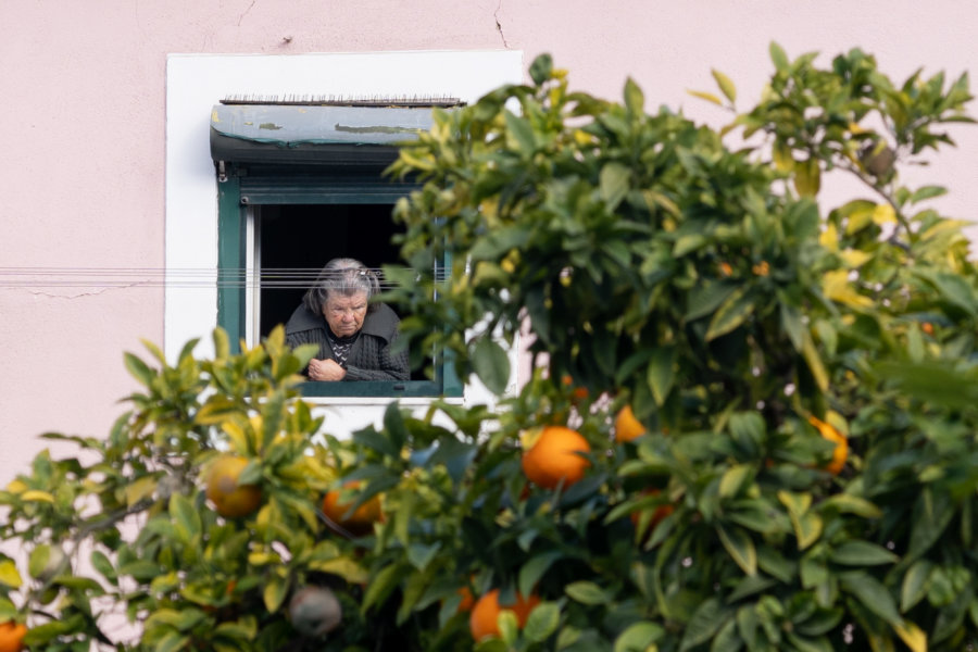 Orangers et fenêtre à Lisbonne