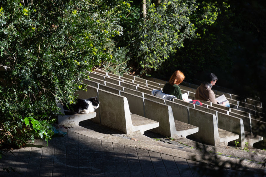 Visiter le parc Galouste Gulbenkian à Lisbonne