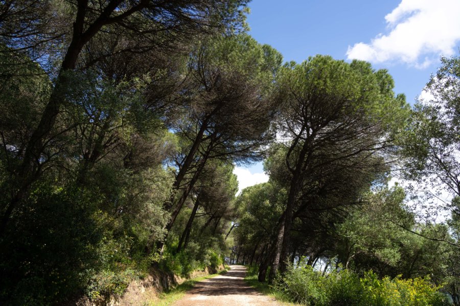 Parc Monsanto à Lisbonne