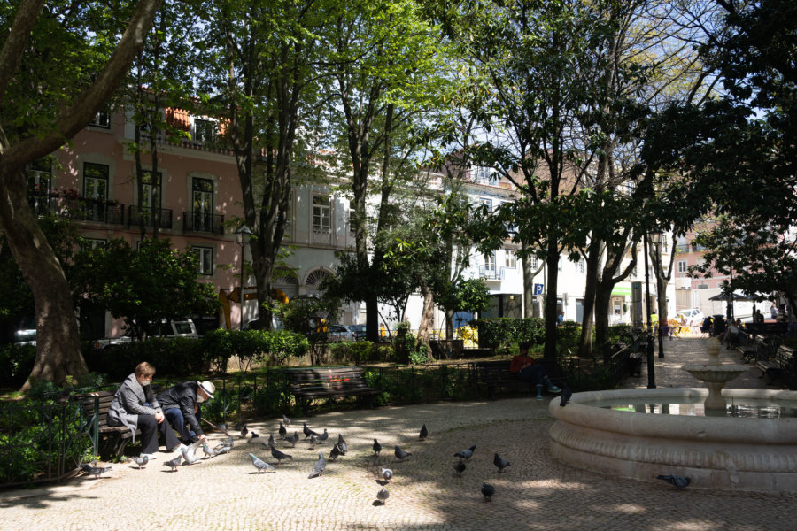 Parc Netter et pigeons, Lisbonne