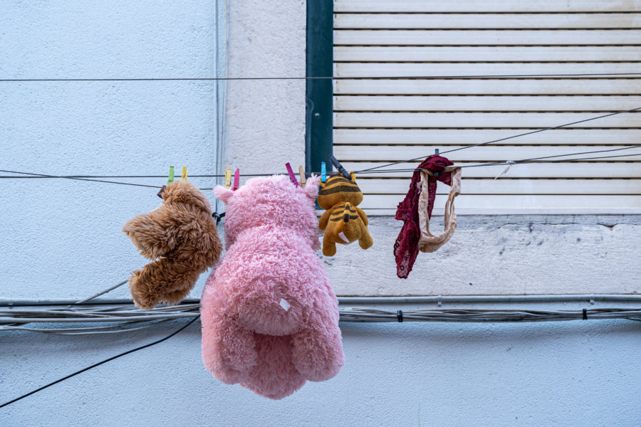 Peluches sur une corde à linge