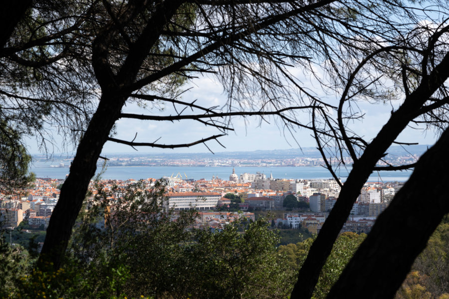 Randonnée dans le parc Monsanto à Lisbonne