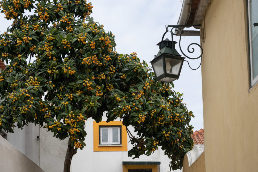 Visite d'Almada au Portugal