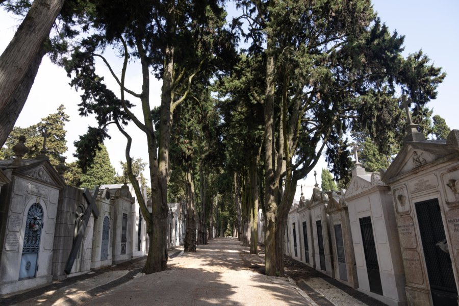 Visite du cimetière dos Prazeres à Campo de Ourique