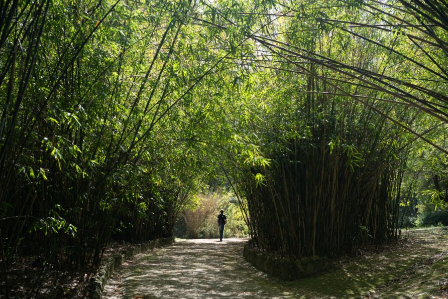 Visite du jardin botanique de Lisbonne