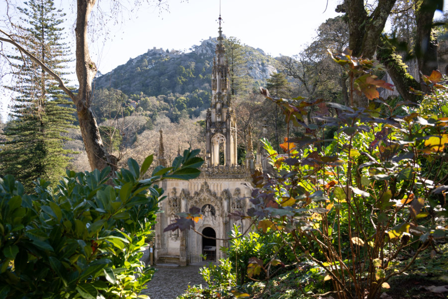 Excursion depuis Lisbonne : Quinta da Regaleira à Sintra