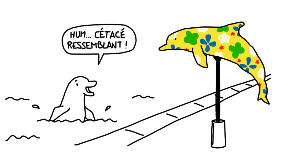 Dessin : les dauphins de Setúbal