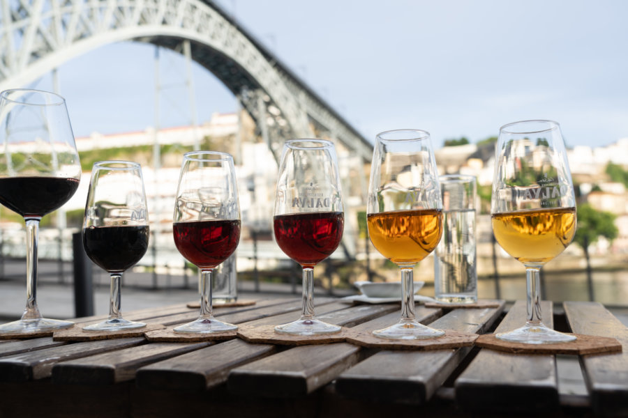 Dégustation de Porto chez Bacchus Vini à Porto