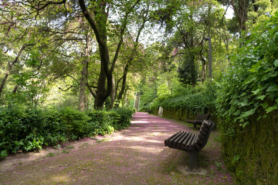 Parc de Palmela au Portugal