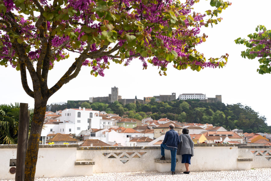 Ville de Palmela et son château, Portugal