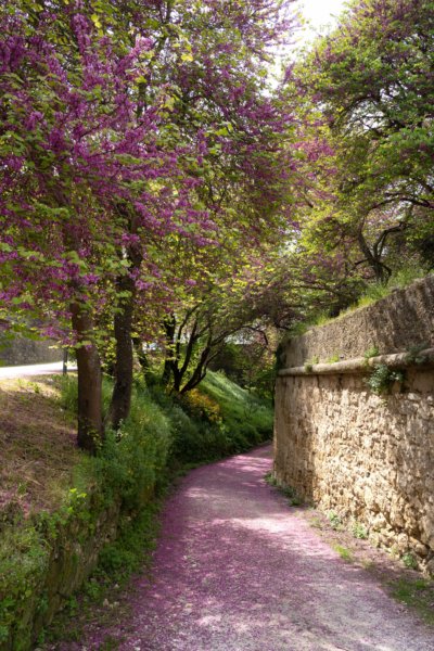 Visite de la ville de Palmela au printemps