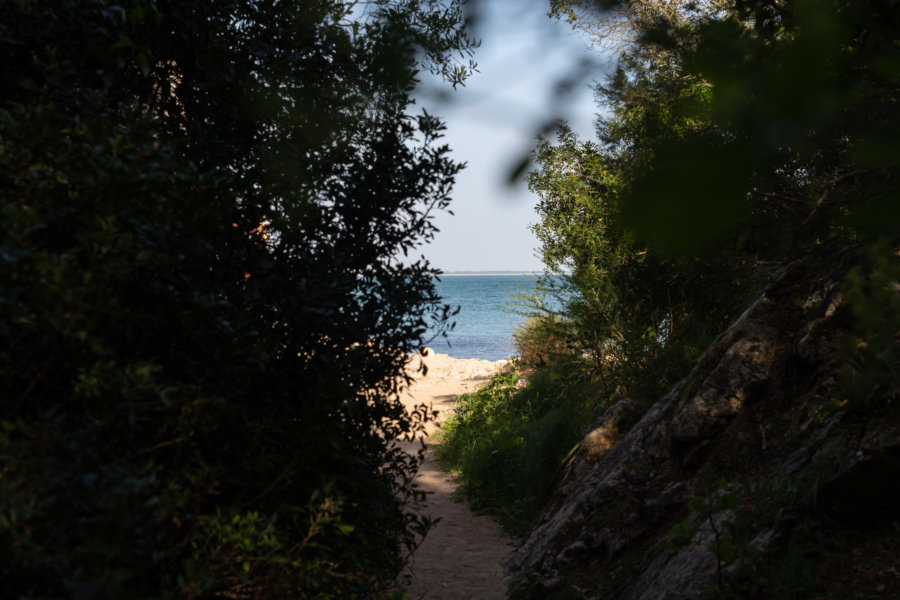 Praia de Alpertucho, Portinho da Arrabida