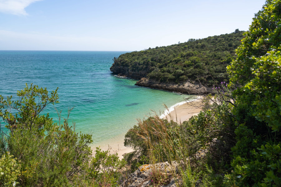 Crique turquoise à Arrabida : la plage dos Coelhos