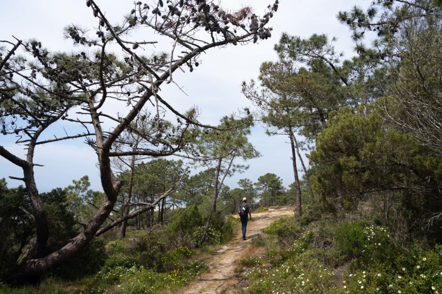 Randonnée sur la colline de la Costa da Caparica